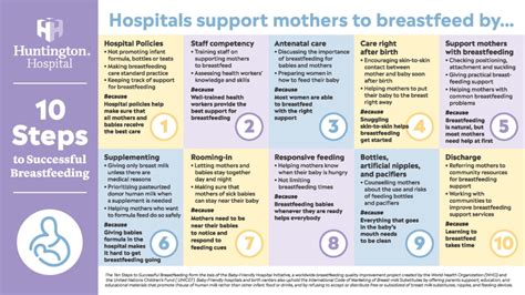 10 Steps To Successful Breastfeeding Pdf 10 Steps To Successful Breastfeeding Pdf
