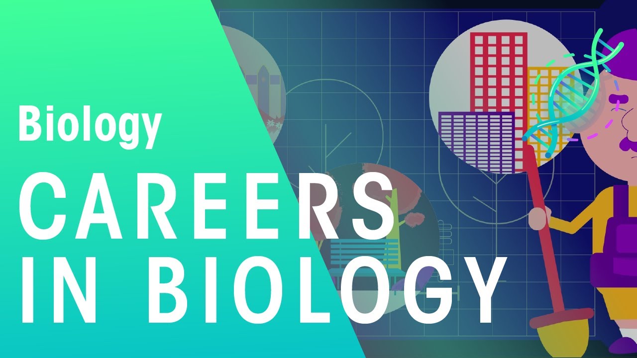 10 Wildlife Biology Careers You Should Know About Salaries Youtube 10 Wildlife Biology Careers You Should Know About Salaries Youtube