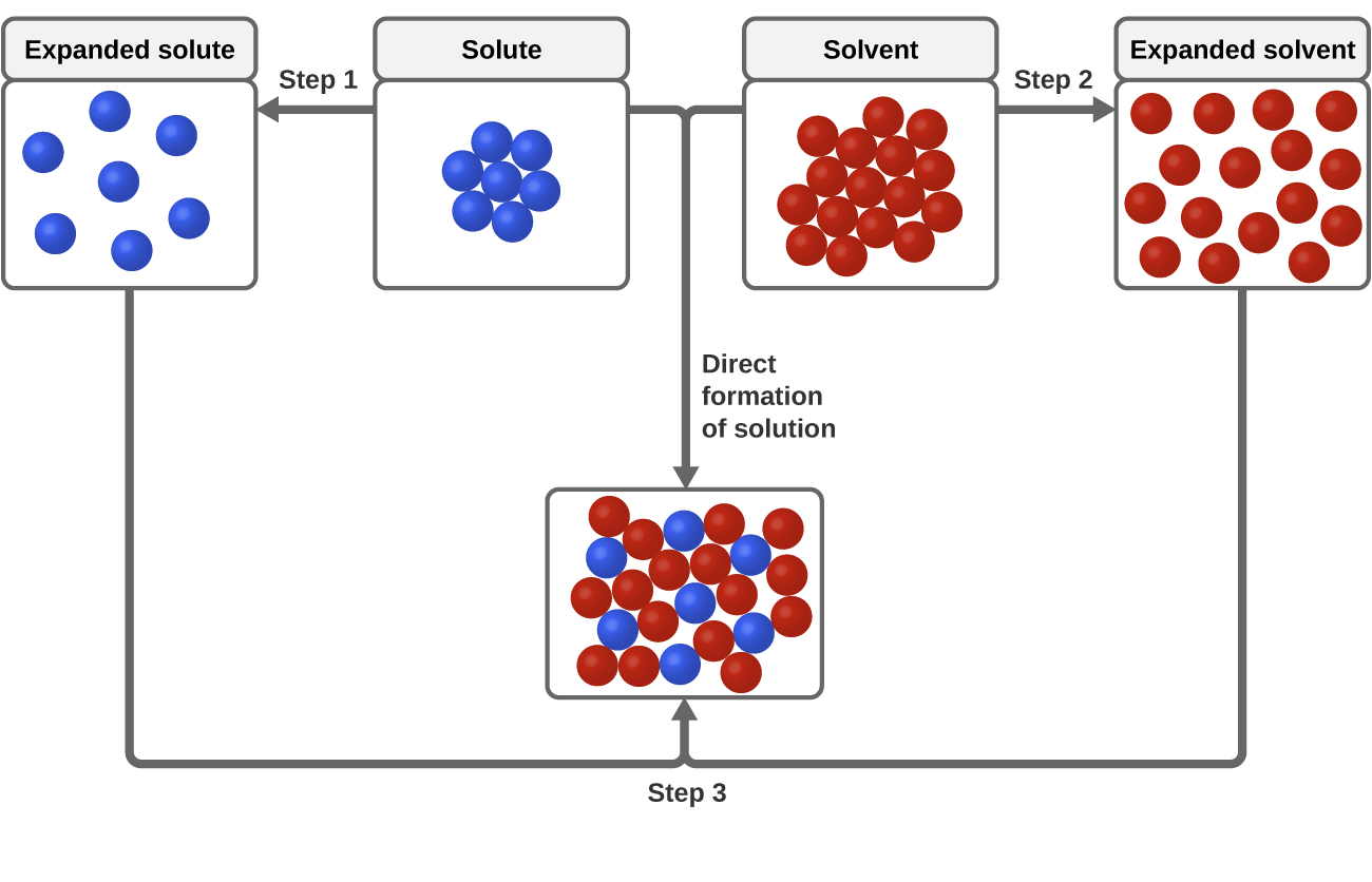 11 1 The Dissolution Process Chemistry 11 1 The Dissolution Process Chemistry