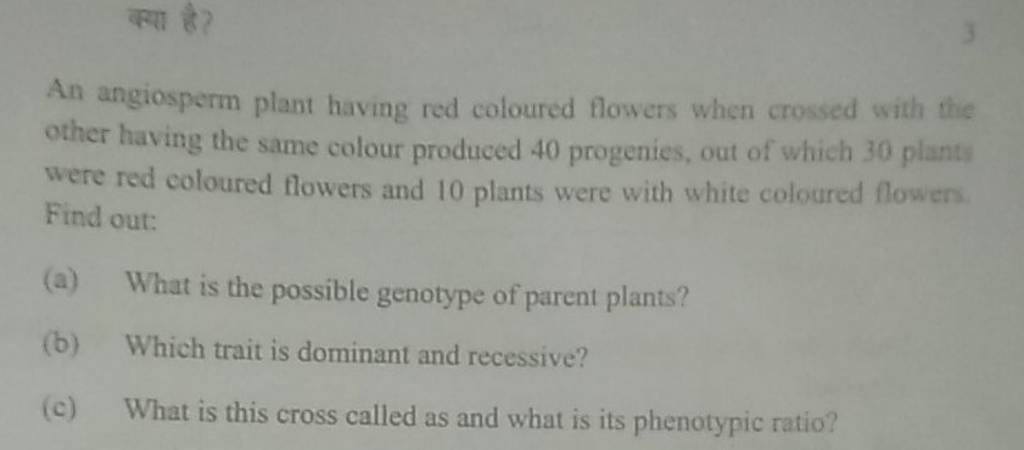 13 An Angiosperm Plant Having Red Coloured Flowers When Crossed With The 13 An Angiosperm Plant Having Red Coloured Flowers When Crossed With The