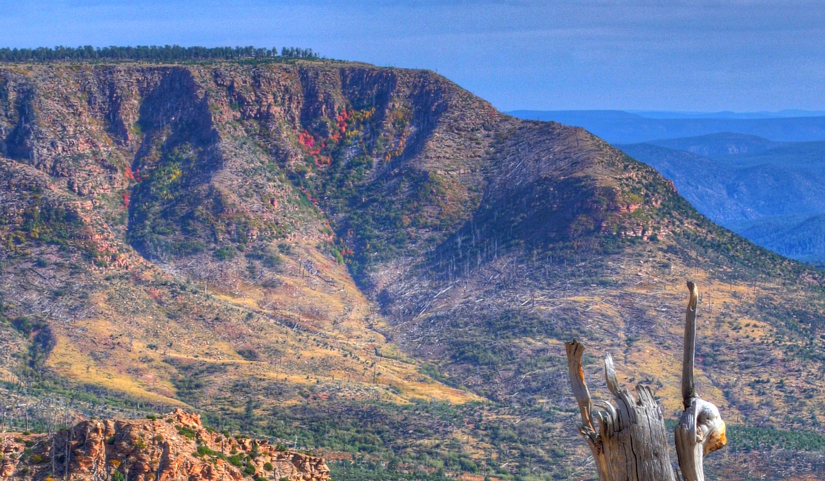 12 New Mexico National Forests: A Hiker's Paradise - CRM Connect Hub