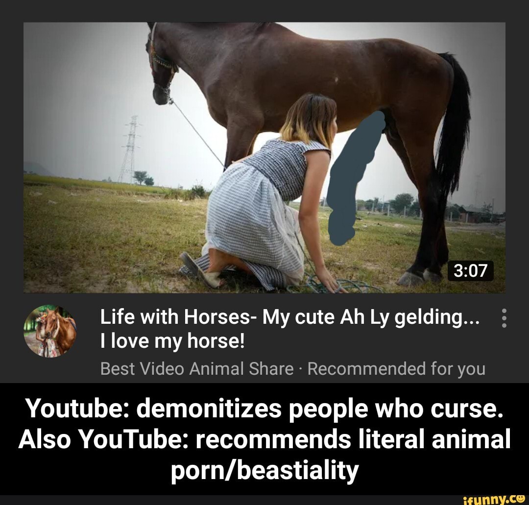 A Way Life With Horses My Cute Ah Ly Gelding In Love My Horse A Way Life With Horses My Cute Ah Ly Gelding In Love My Horse