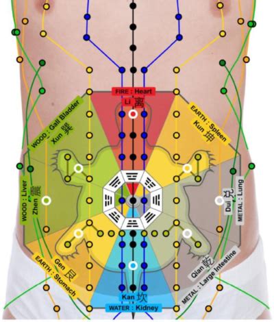 Abdominal Massage Yc Tcm Abdominal Massage Yc Tcm