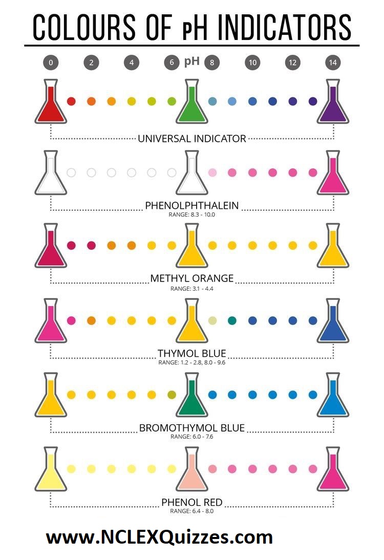 Acid Base Or Neutral Ppt Download Acid Base Or Neutral Ppt Download