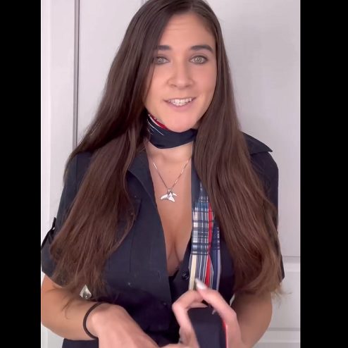 American Airlines Distances Themselves From Spicy Flight Attendant No