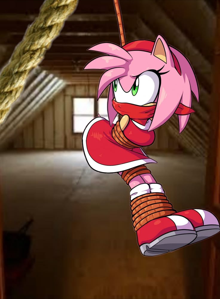 Amy Rose Rule 34