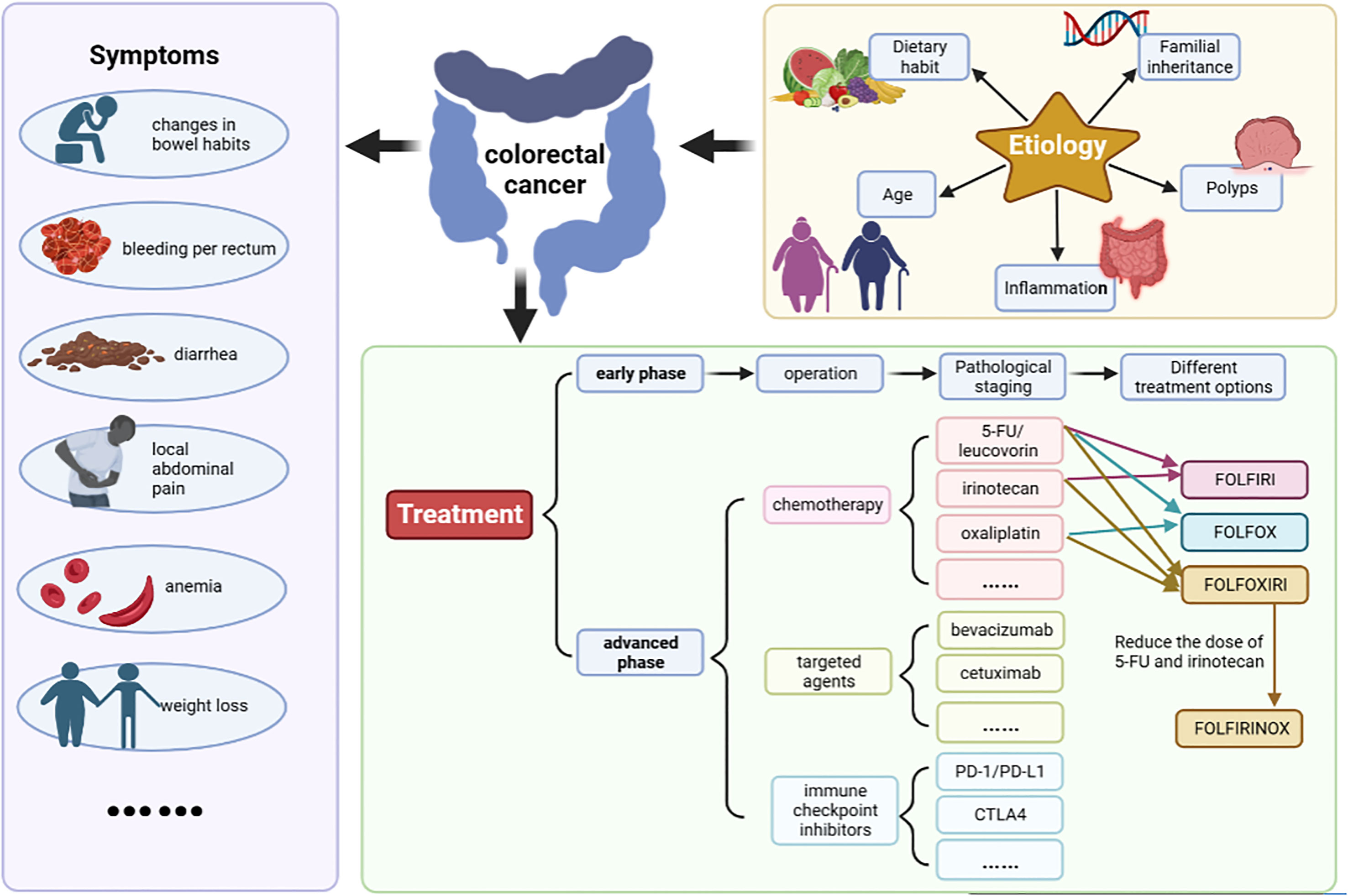 An Rna Damage Response Network Mediates The Lethality Of 5 Fu In Colorectal Cancer Cell Reports Medicine An Rna Damage Response Network Mediates The Lethality Of 5 Fu In Colorectal Cancer Cell Reports Medicine