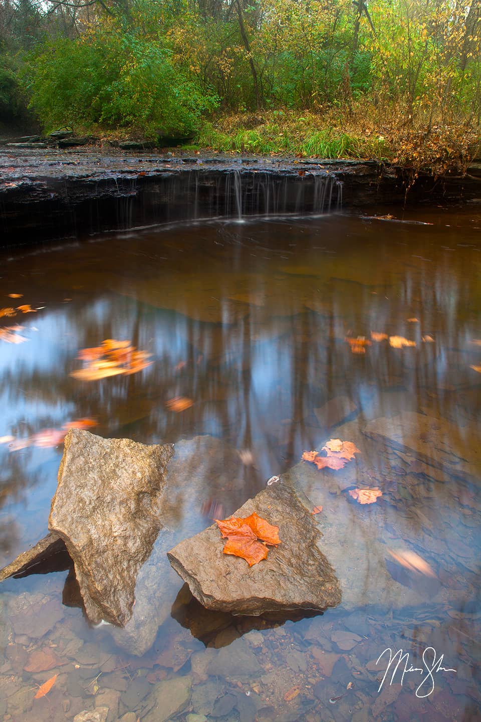 Angel Youngs Autumn Falls Angel Youngs Autumn Falls