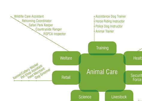 Animal Care Jobs Edinburgh At John Rodiguez Blog Animal Care Jobs Edinburgh At John Rodiguez Blog
