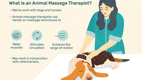 Animal Massage Therapy Schools In California Infolearners Animal Massage Therapy Schools In California Infolearners