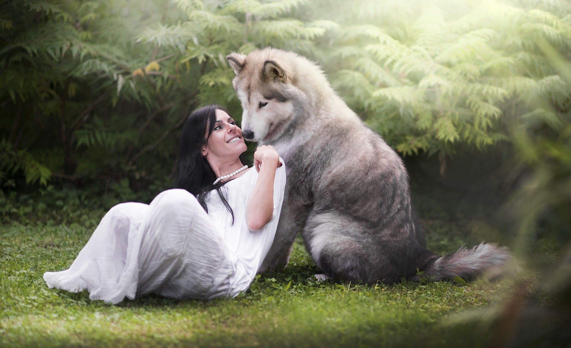 The Animalistic Attraction: Unveiling Nature's Sexual Strategies