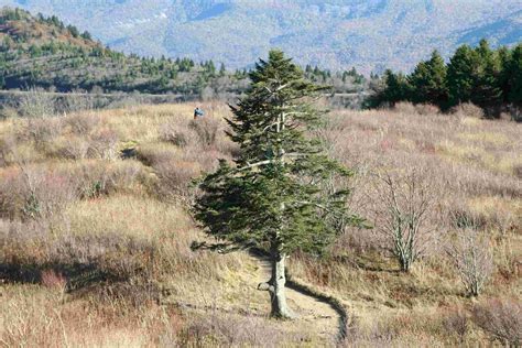 Appalachian Plateau Major Tourist Spots Ultimate Exploration Guide Appalachian Plateau Major Tourist Spots Ultimate Exploration Guide