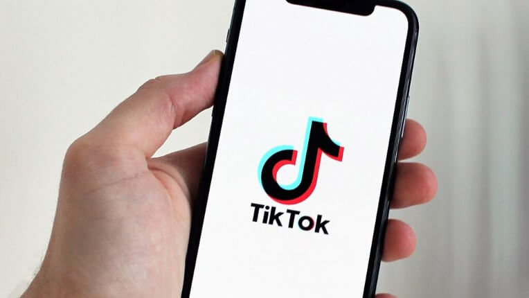 Art Of Zoo Tiktok Meaning Explained