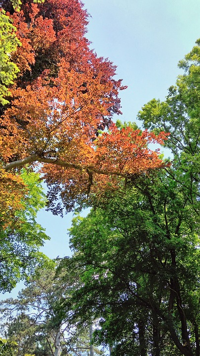 Autumn In The Colors Of Autumn A Photo Nature In The Colors Of Autumn