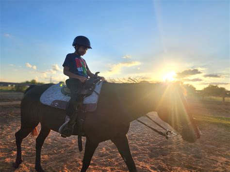 Barn And Horse Riding Fun For Kids Tiktok Barn And Horse Riding Fun For Kids Tiktok