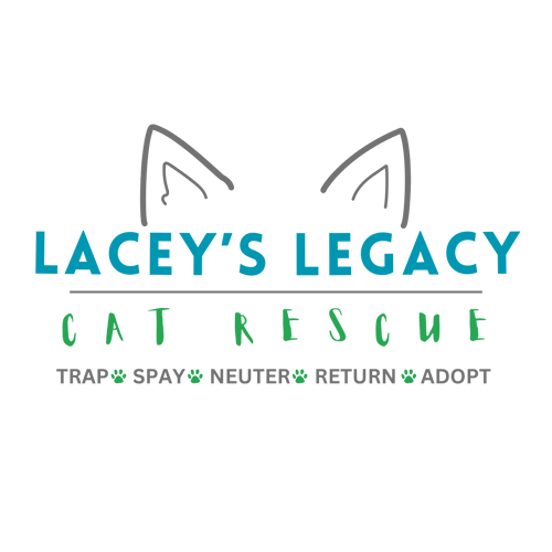 5 Steps to Supporting Barts Legacy