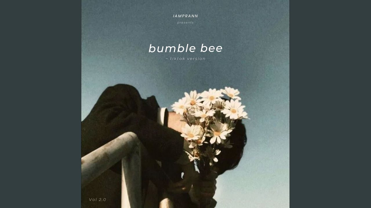 Beezzgarden Bee Tiktok Beezzgarden Bee Tiktok