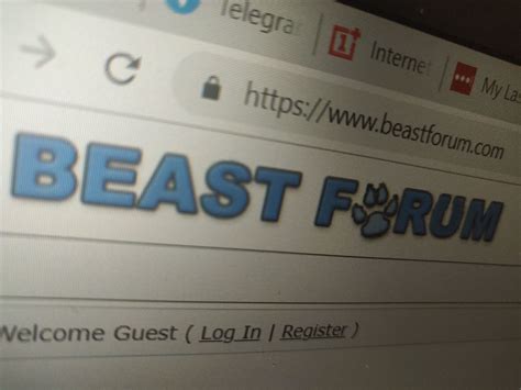 Top Websites for Bestiality Enthusiasts
