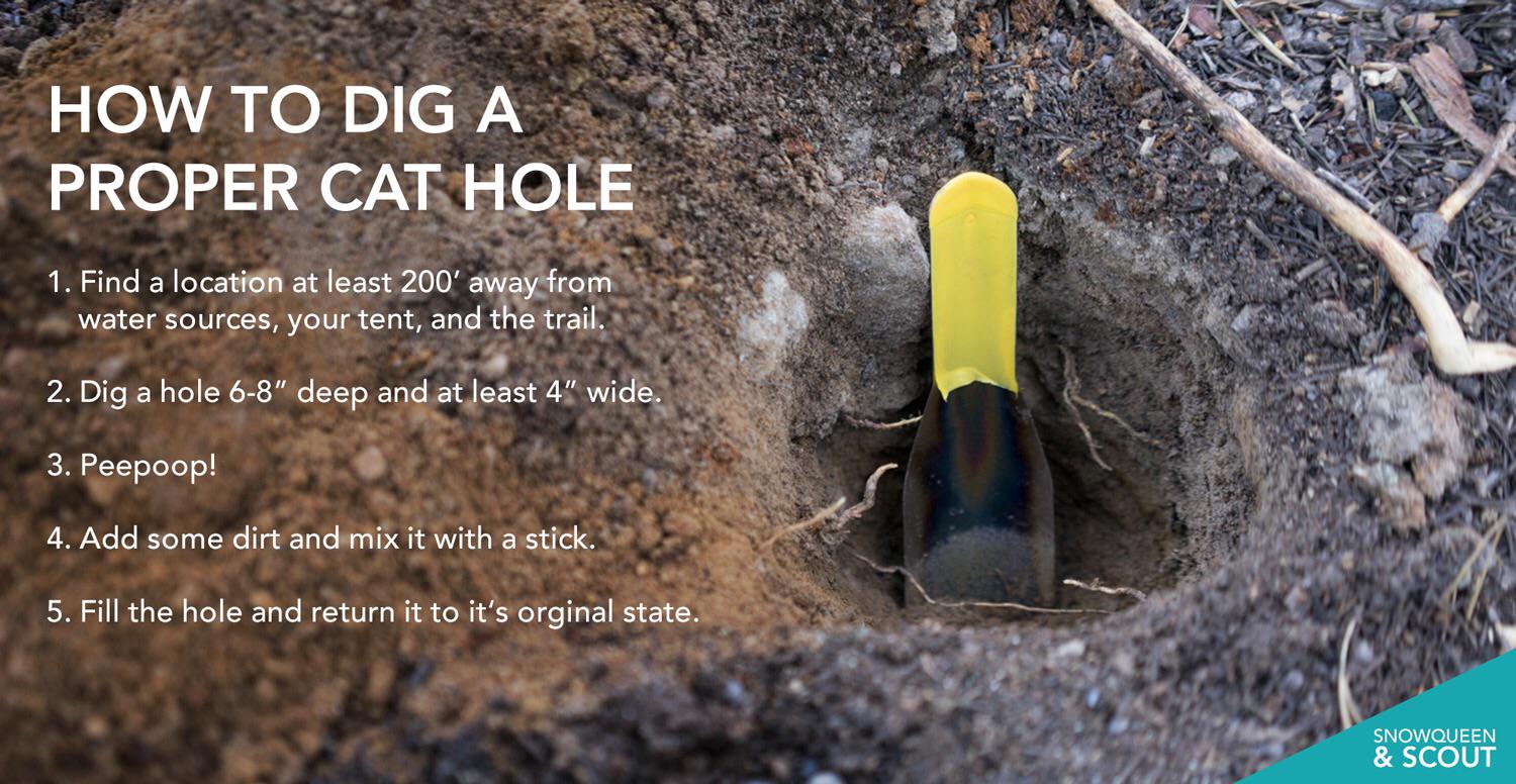 Best Instructional Guide For Shitting Holes R Shittinholes Best Instructional Guide For Shitting Holes R Shittinholes