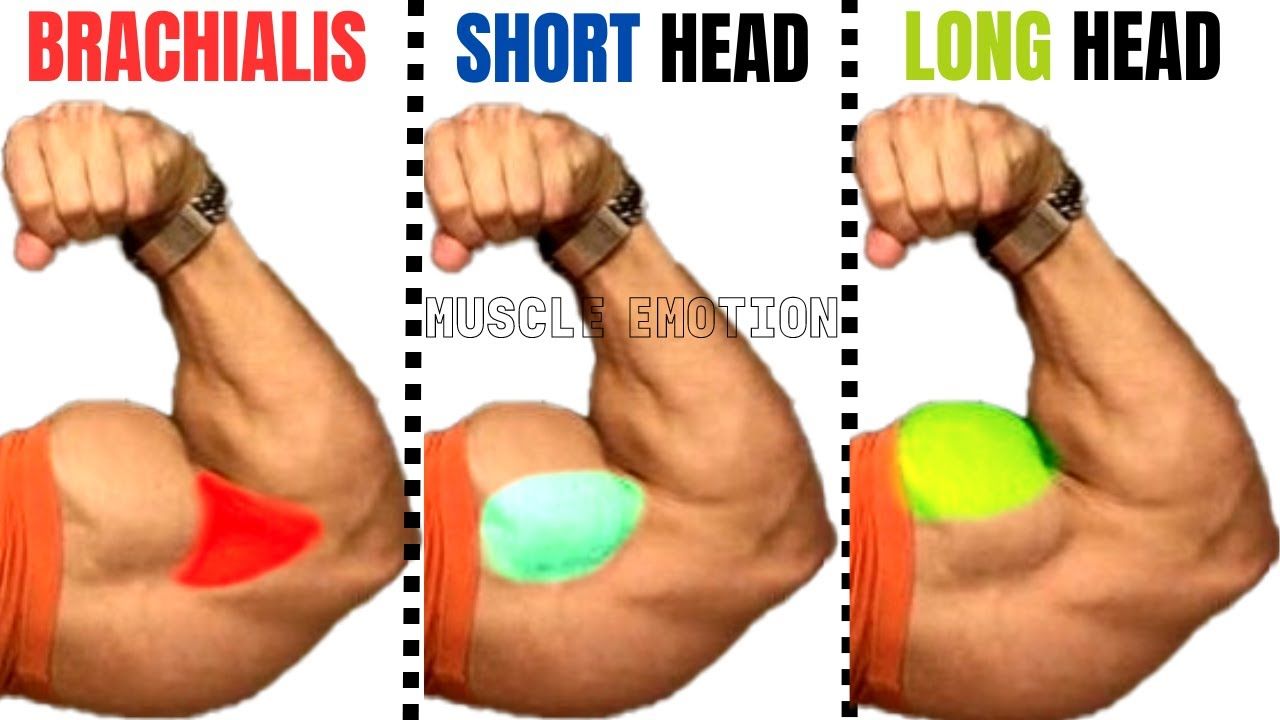 Best Short Link