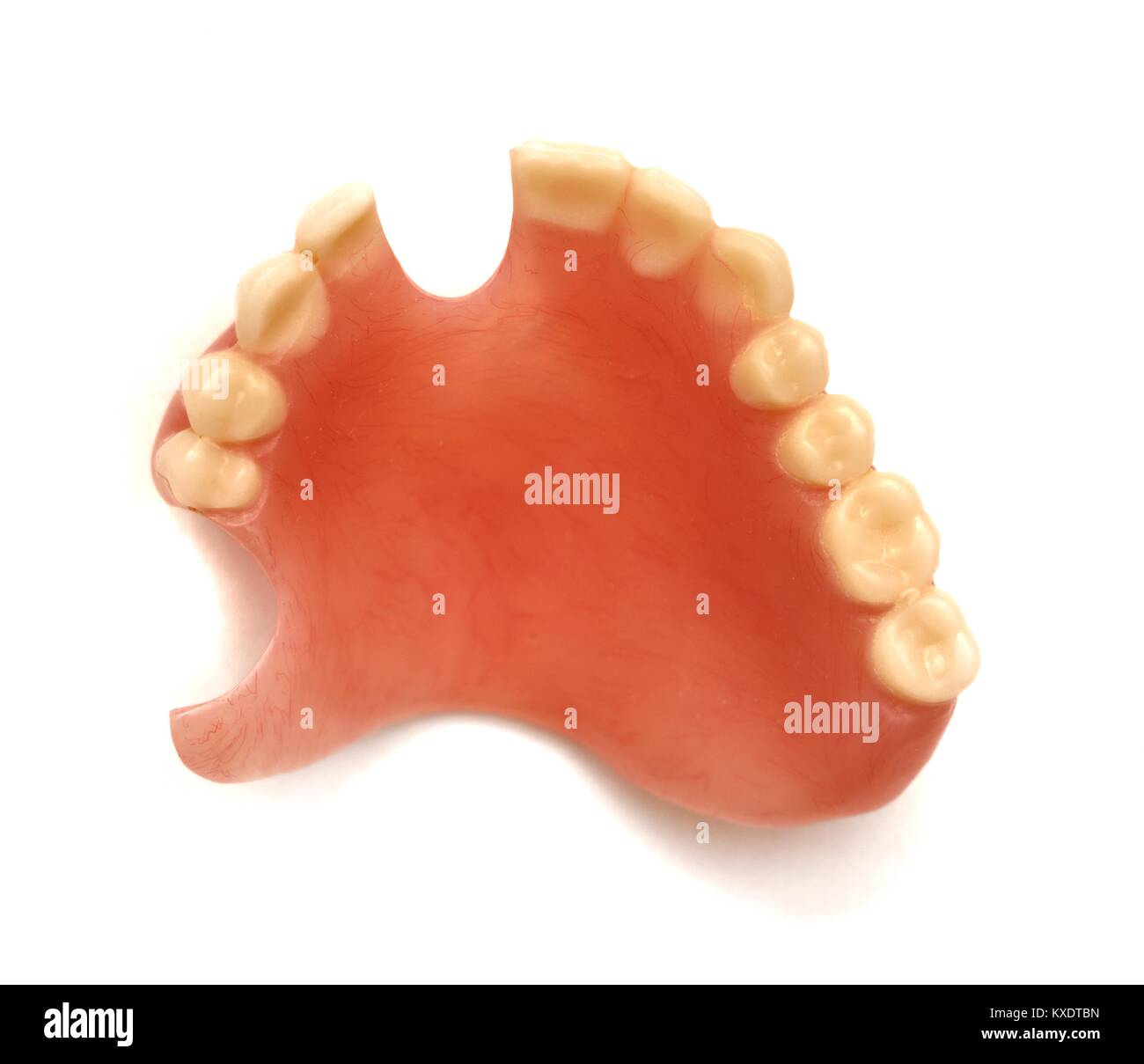 Best Upper Dentures Best Upper Dentures