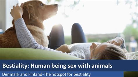 Long Bestiality Sessions: Uncut & Uncensored