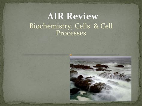 Biochemistry Cells Cell Processes Ppt Download Biochemistry Cells Cell Processes Ppt Download