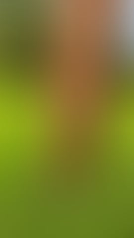 Booplesnoot Illumination Naked Cosplay Asian 32 Photos Onlyfans Booplesnoot Illumination Naked Cosplay Asian 32 Photos Onlyfans