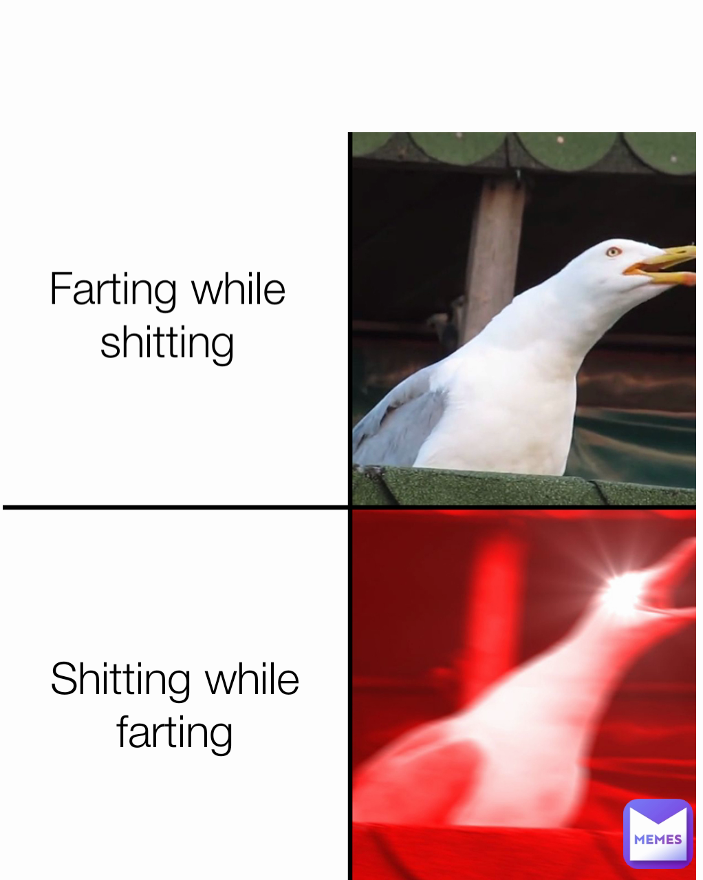 Brunette Fucking While Shitting Brunette Fucking While Shitting