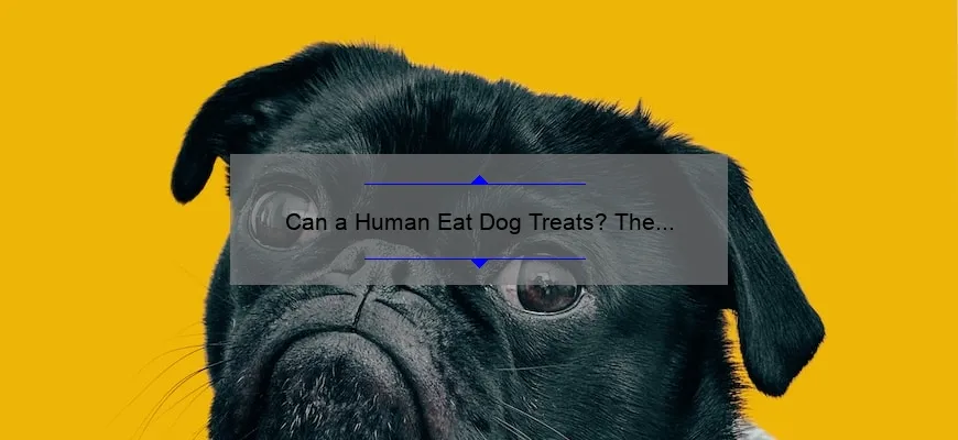 Can A Human Eat Dog Treats The Surprising Truth Useful Tips And