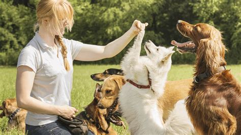 Careers With Animals 18 Awesome Jobs For Animal Lovers Careers With Animals 18 Awesome Jobs For Animal Lovers