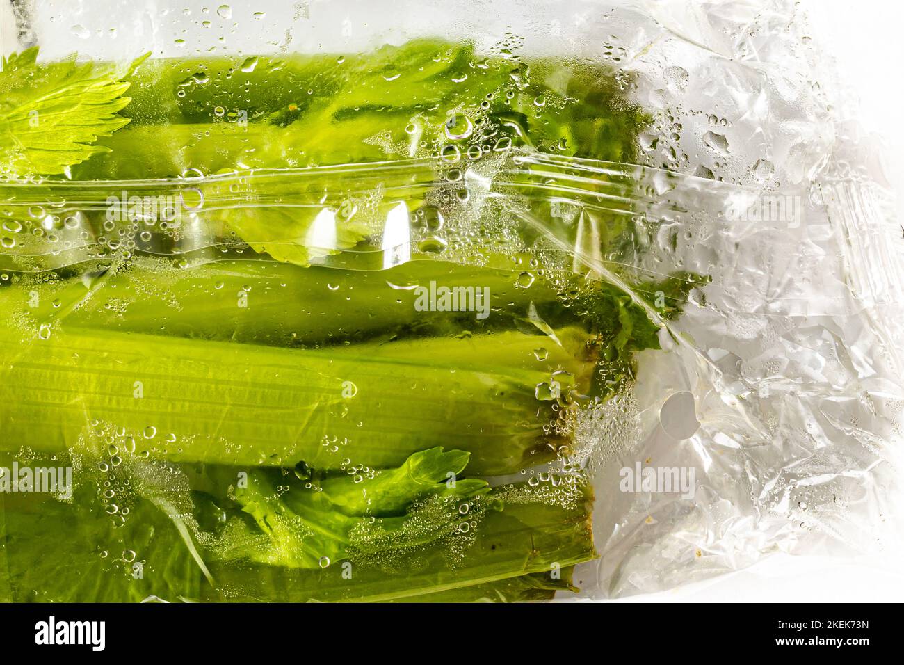 Celery In Plastic Wrapping Covered In Moisture Is Plastic The Best Way Celery In Plastic Wrapping Covered In Moisture Is Plastic The Best Way