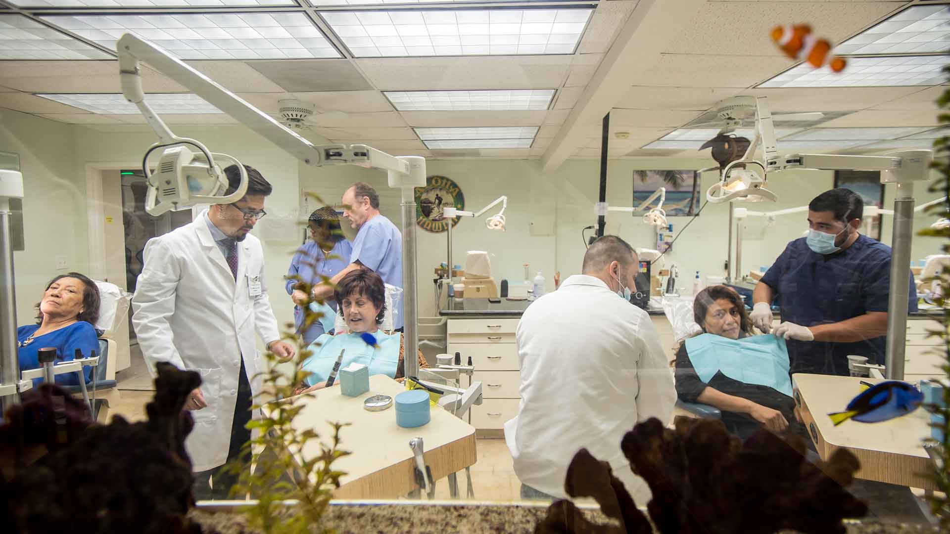 Children Dentist Near Me Bellflower Pediatric Dentist Children S Dental