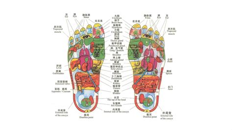 Chinese Foot Massage Chart Chinese Foot Massage Chart