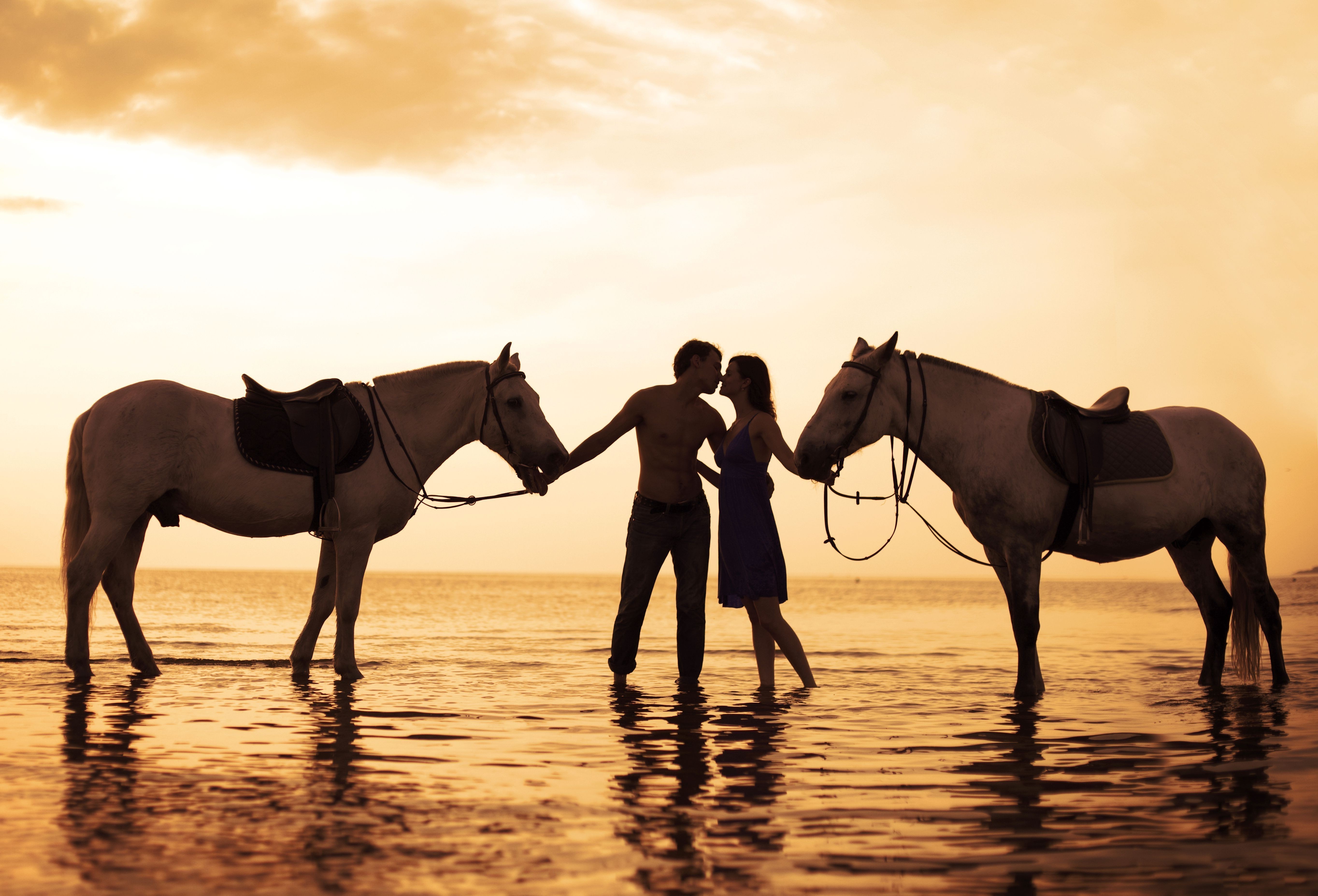 Couple Horse Water Sunset Kissing Love Sea Wallpapers Hd Desktop And Couple Horse Water Sunset Kissing Love Sea Wallpapers Hd Desktop And