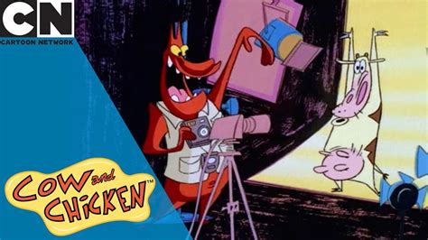5 Quick Tips for Cow and Chicken Porn