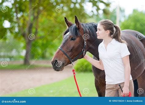 3 Tips For Horse Creampie Fun 3 Tips For Horse Creampie Fun