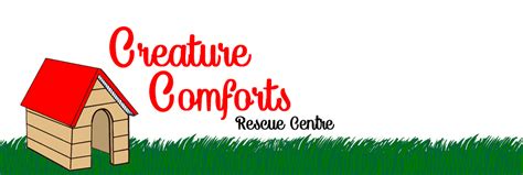 A Haven for Furry Friends: Creature Comforts