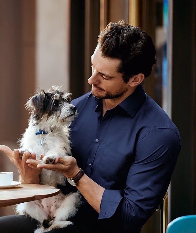 David Gandy Tumblr Foto Tips David Gandy Tumblr Foto Tips