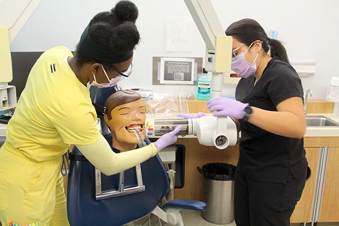 Dental Assistant Training Program Benefits For You Dental Assistant Training Program Benefits For You