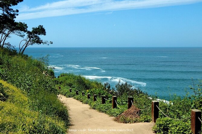 Discover San Diegos Beaches Private Driving Tour Travel Buddies Discover San Diegos Beaches Private Driving Tour Travel Buddies