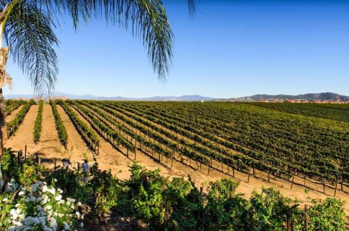Discover Temecula Valley The Undiscovered Gem Of California Travel Discover Temecula Valley The Undiscovered Gem Of California Travel