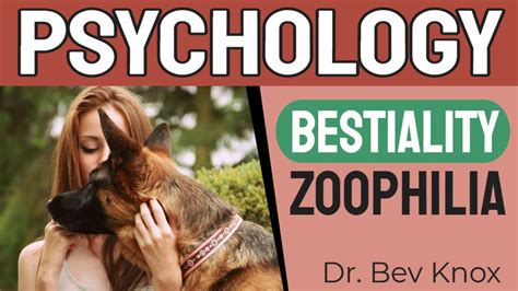 The Ultimate Guide to Dog Bestiality Sex The Ultimate Guide to Dog Bestiality Sex