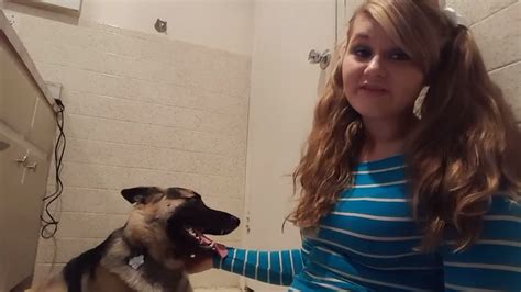 5 Signs Your Dog Loves You