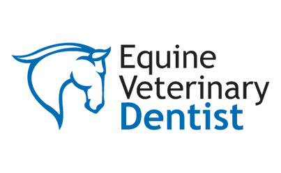 Dr Molly Rice Board Certified Equine Veterinary Dentist Dr Molly Rice Board Certified Equine Veterinary Dentist