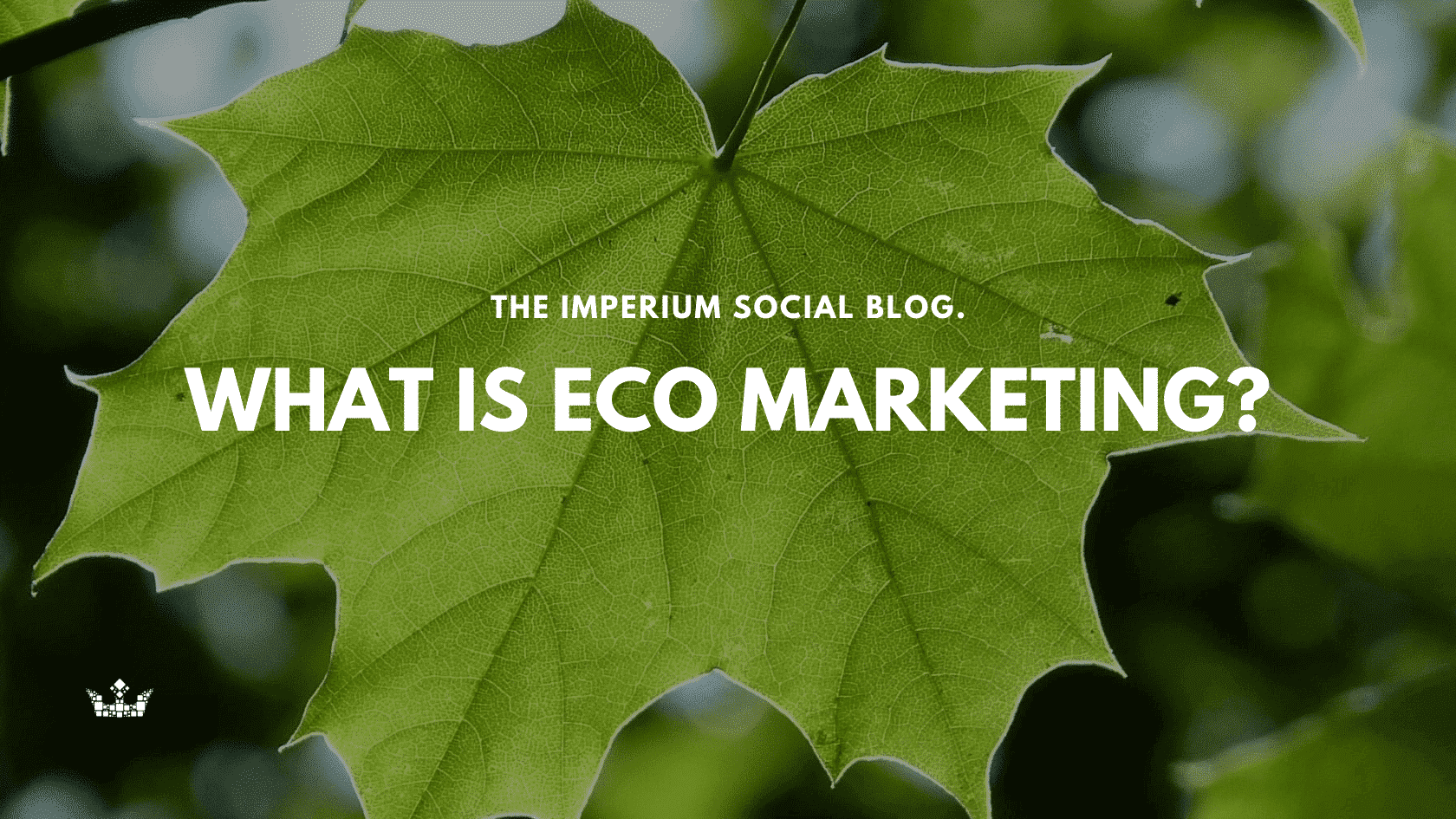 Eco Marketing