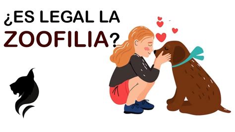 Es Legal La Zoofilia Controversia Con La Nueva Ley De Bienestar Es Legal La Zoofilia Controversia Con La Nueva Ley De Bienestar