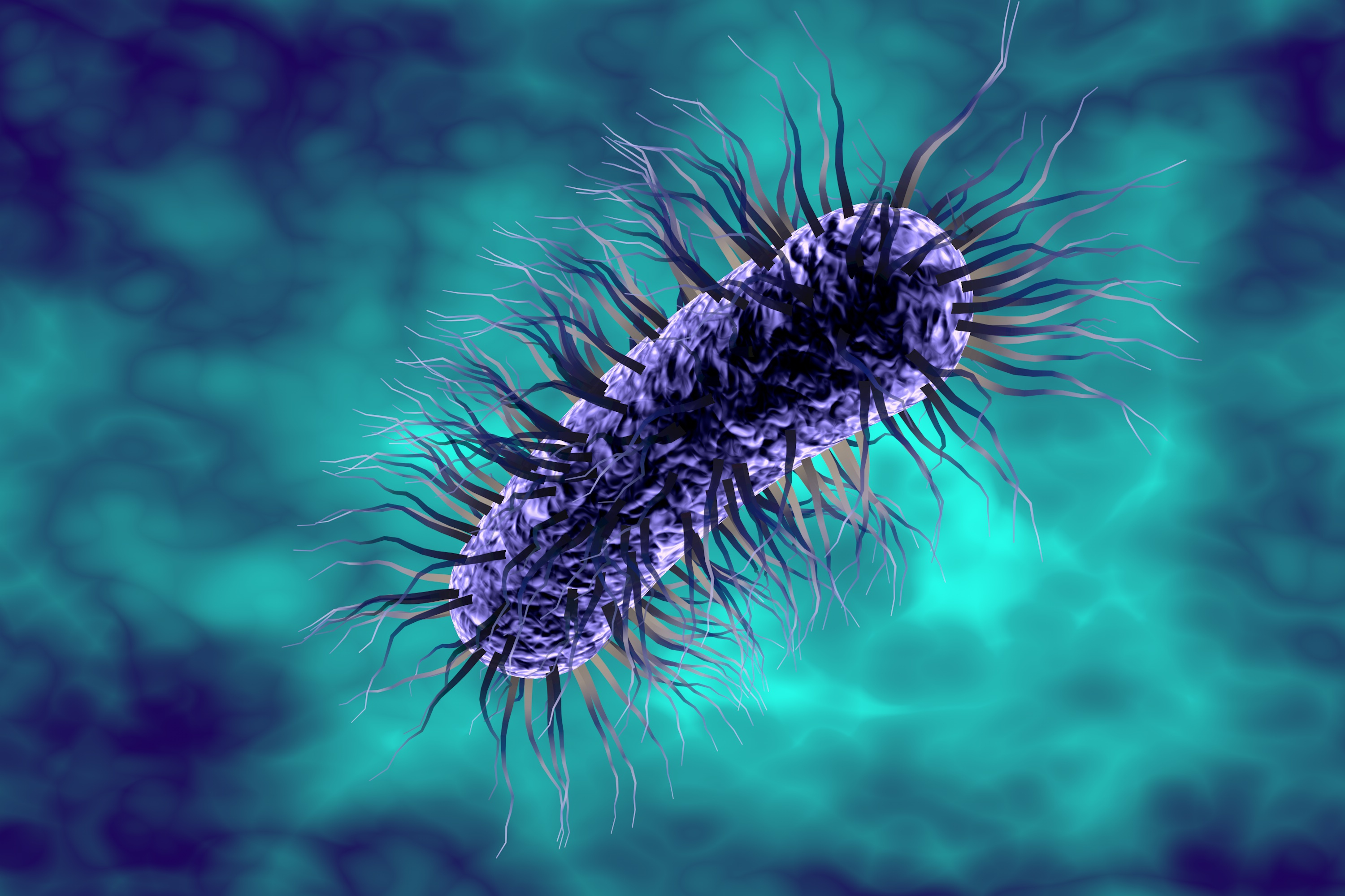 Escherichia Coli Bacterium Chronic Uti Info Escherichia Coli Bacterium Chronic Uti Info