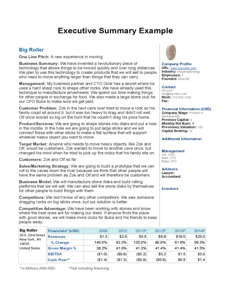 Executive Summary Example
