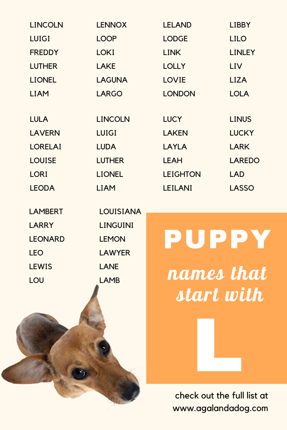 The Art of Checking a Female Dog's Pregnancy